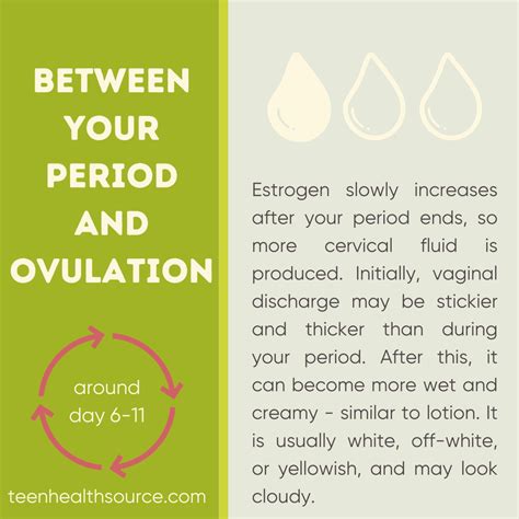 Yellowish Green Vaginal Discharge