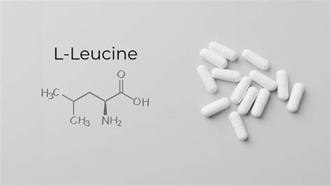 Power Up Your Muscles with L-Leucine – FōLIUS LABS®