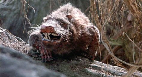 Image result for The Princess Bride Rodents of Unusual Size