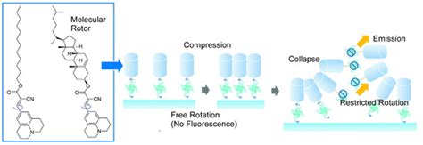Molecular Machines and Microrobots: Nanoarchitectonics Developments and ...