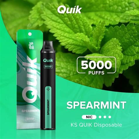 Quik Easy Refillable Vape with Type C Charging - 5000 Puffs-(Without B ...