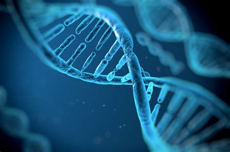Image result for Genetics Algorithm Define