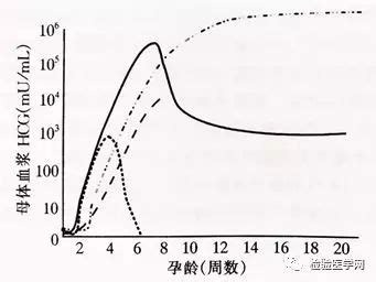 整个孕期hcg变化曲线图-图库-五毛网