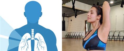 How to check the health of the lungs?