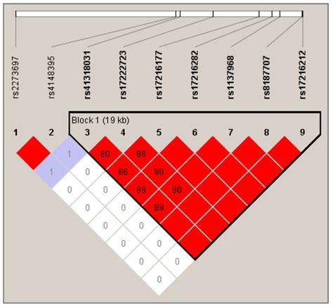 Pharmacogenetic Study of Trabectedin-Induced Severe Hepatotoxicity in ...