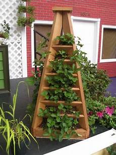 Strawberry Container Garden by How To Make A Strawberry Pyramid Planter The Owner Strawberry Container Garden