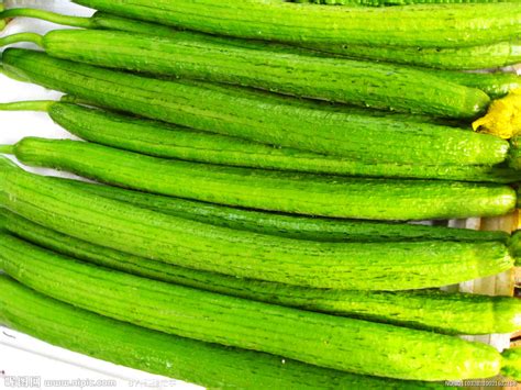 丝瓜的24种功效与作用附食疗偏方-聚餐网