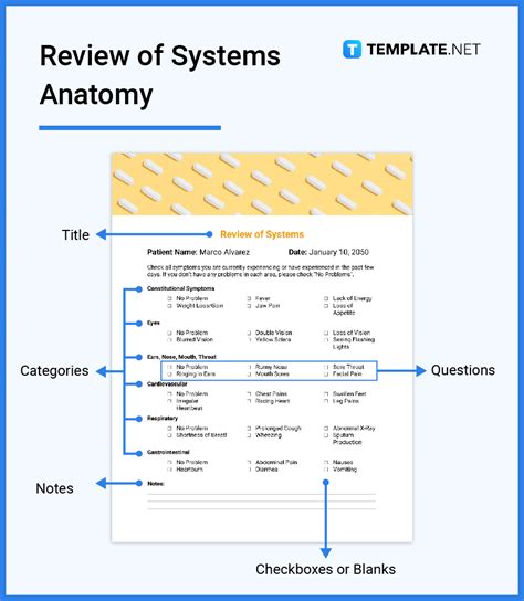 Image result for Review of Systems Example