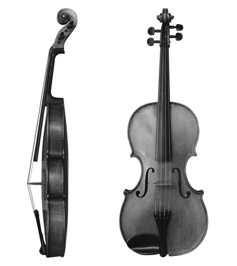 Image result for Viola String Instrument