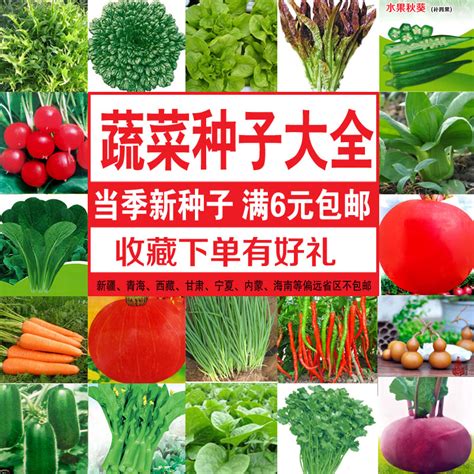 冬天应季蔬菜有哪些 —【发财农业网】