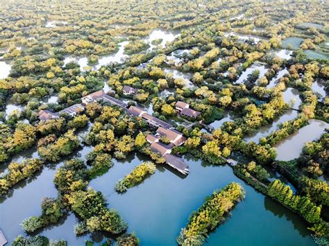 绍兴水质越来越好 水乡人又开始在河里游泳了——浙江在线