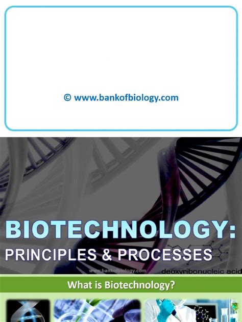 Biotechnology Flowchart 的图像结果