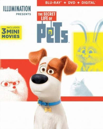 The Secret Life of Pets [Blu-ray]: Amazon.in: Louis C.K., Kevin Hart ...