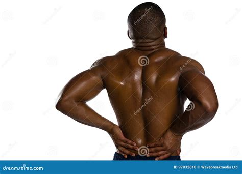 Image result for Back Pull Machine