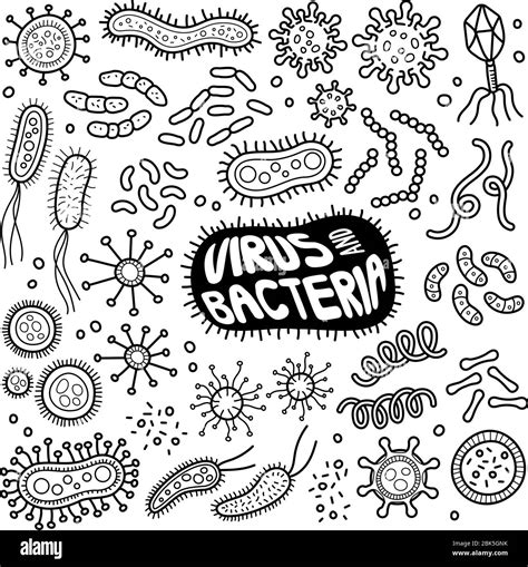 Cute Bacteria Drawing