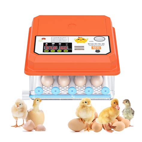 DELISON Store Eggs Incubator Brooder Chicken Fully Automatic India | Ubuy