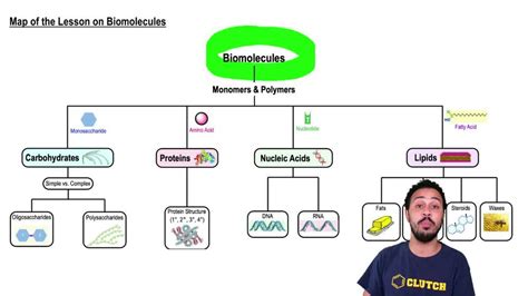 Image result for Biomolecules Explained