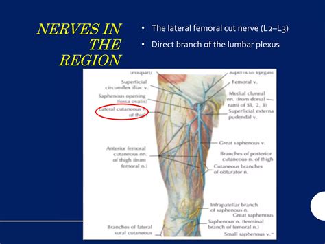 Antero Lateral thigh flap | PPTX
