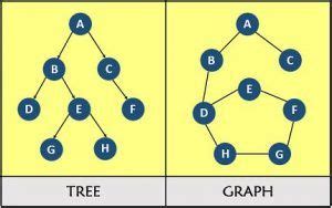 Image result for Difference Between Tree and Graph