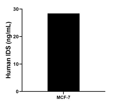 IDS antibody (84623-3-PBS) | Proteintech