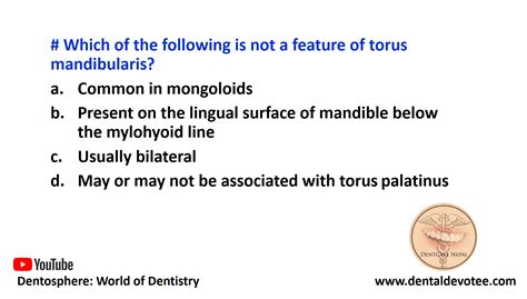 Dentosphere : World of Dentistry: Which of the following is not a feature of torus mandibularis?