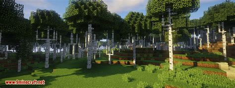 Image result for Minecraft Java Dynamic Trees
