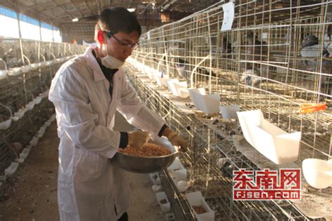 浅谈未来肉鸽养殖发展趋势_种鸽-肉鸽-天成鸽业养殖基地