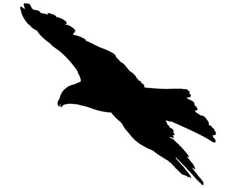 Bird Flying Silhouette Free Stock Photo - Public Domain Pictures