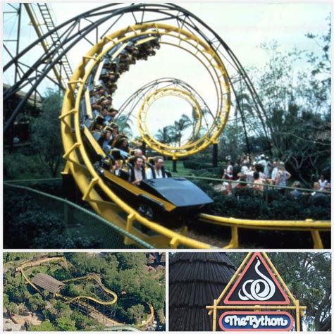 Image result for Python Busch Gardens