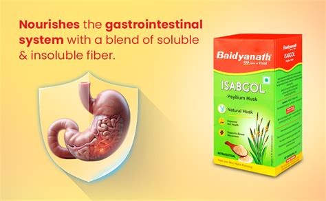 Baidyanath Ayurved Isabgol Psyllium Husk Powder