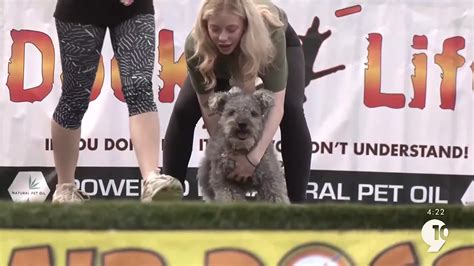 Former Tiger Milt Wilcox returns to the NCF with his Ultimate Air Dogs ...