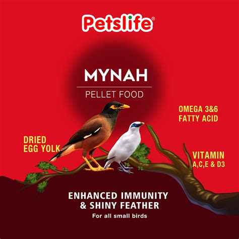 BIRD FOOD – PetsNPets Store