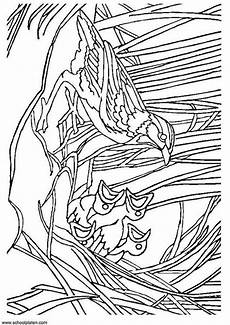 malvorlage vogel im nest malvorlage vogel mit nest ausmalbild 3404 malvorlage vogel im nest malvorlage vogel mit nest ausmalbild 3404