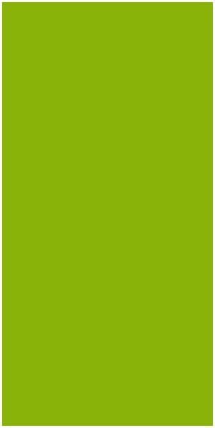 Shop Suede finish Merino Laminates 21453 SF Lime Punch Decorative ...