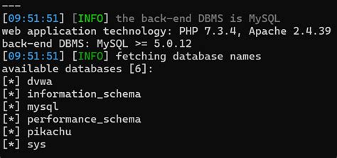 Image result for Dvwa SQL User
