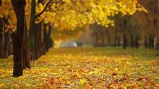 Backdrop For Photos by Beautiful Background 1080p Hd Backdrop For Photos