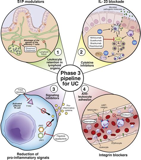 Biologics For Ulcerative Colitis