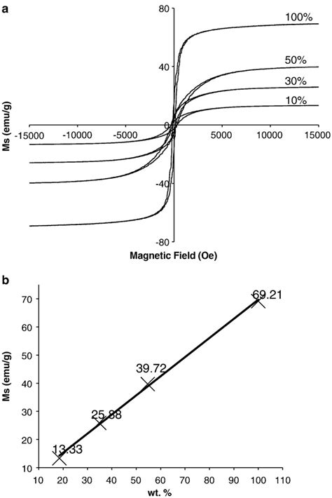 Magnetization 的图像结果