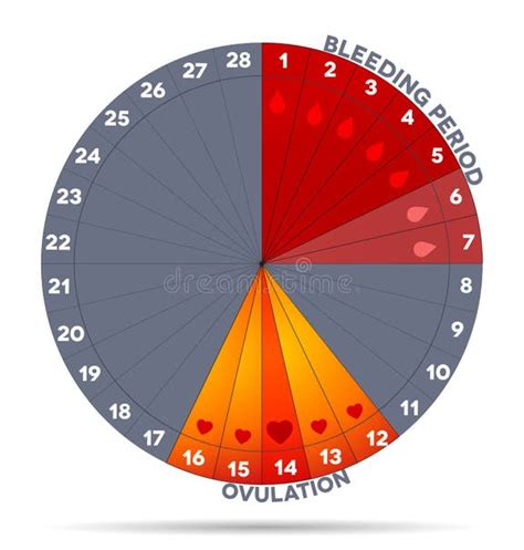 Fertility Cycle Graph 的图像结果