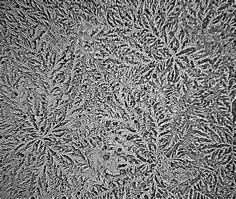 Microscopic Patterns 的图像结果