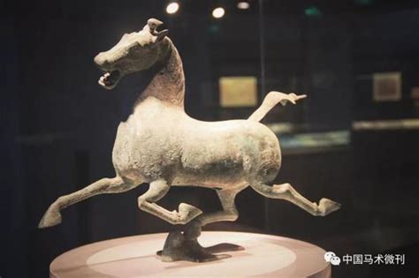 老外怎么看马在中国文化中的意义？_综合体育_新浪竞技风暴_新浪网
