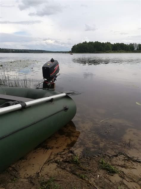 Fishing 的图像结果