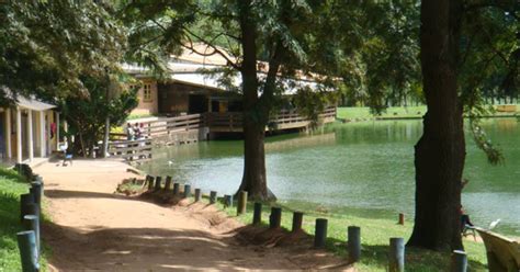 Pesqueiro Tio Oscar em Mairinque com pesca recreativa e estrutura familiar