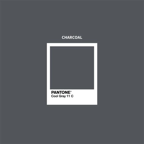 Charcoal Color Pantone