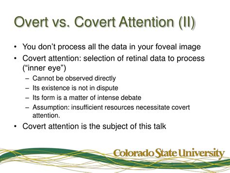PPT - Attention in Human Vision System PowerPoint Presentation, free ...