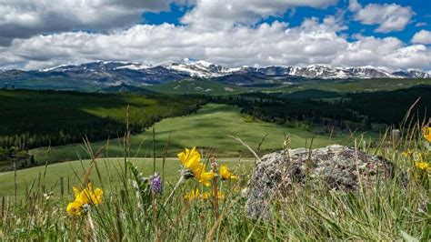 Neon Spring: Wyoming Greener Than Ever In Wake Of Record Snow, Lots Of ...