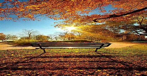 A Summer Sunset, a Song and Peace