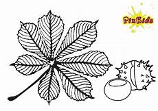 malvorlagen herbst blatt blatt ausmalvorlagen herbst malvorlagen herbst blatt blatt ausmalvorlagen herbst