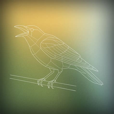 Download Free Crow MP3 Sound Effects – High-Quality SFX