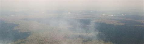 The Amazon fire: This and next time